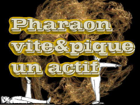 Sport & activité physique