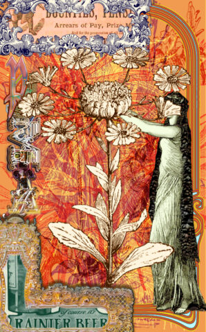 79512_cannas