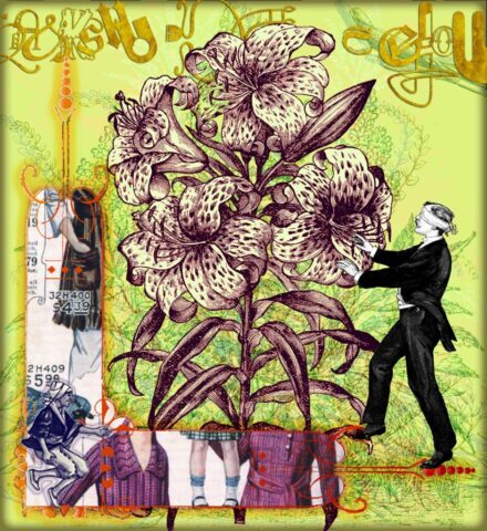 81750_aubrietia_p