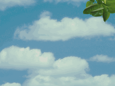 Agriculture soutenable