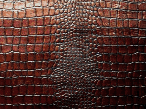 Énergie Géothermique