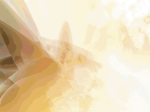 Performances artistiques