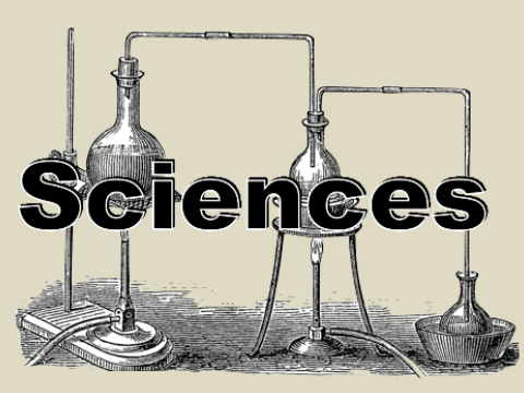 Sciences